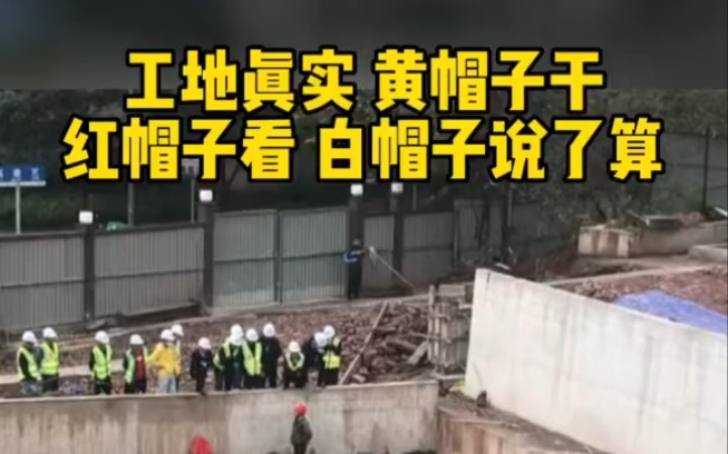 工地真实现状,黄帽子干,红帽子看,白帽子说了算.