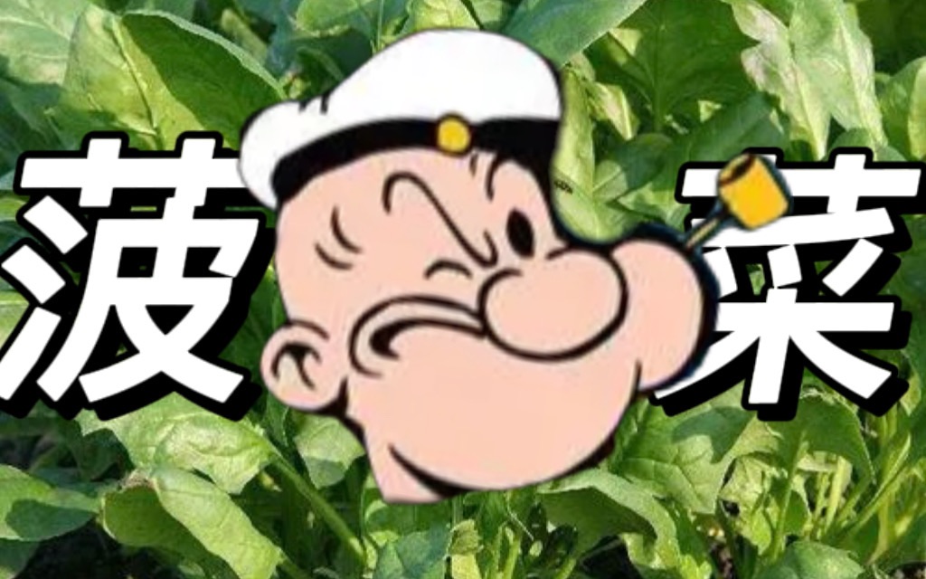 大力水手到底有多强？万能的菠菜！