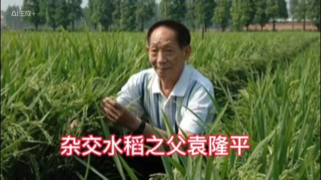 杂交水稻之父袁隆平