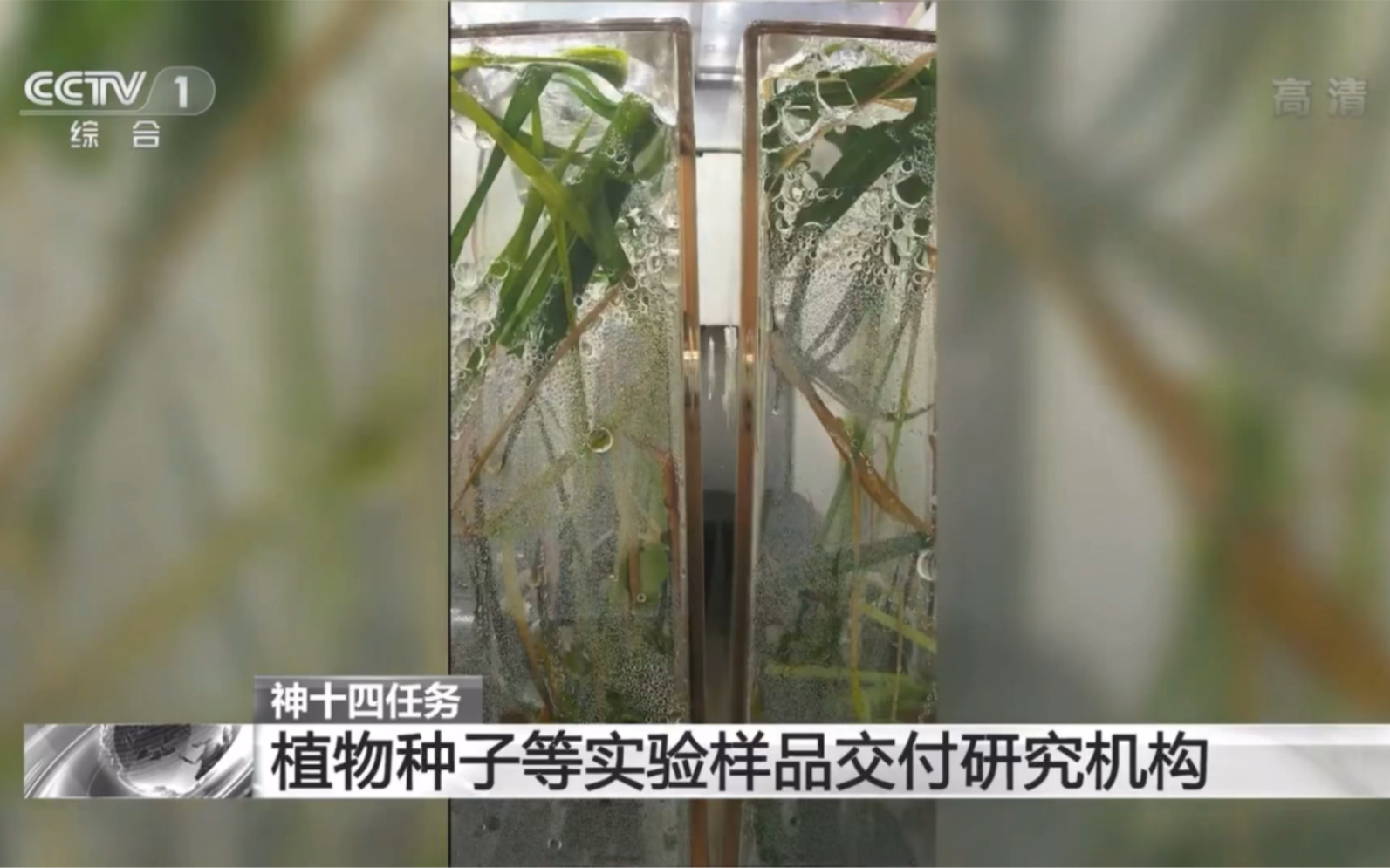 [图]太空种菜：植物种子等实验样品交付研究机构