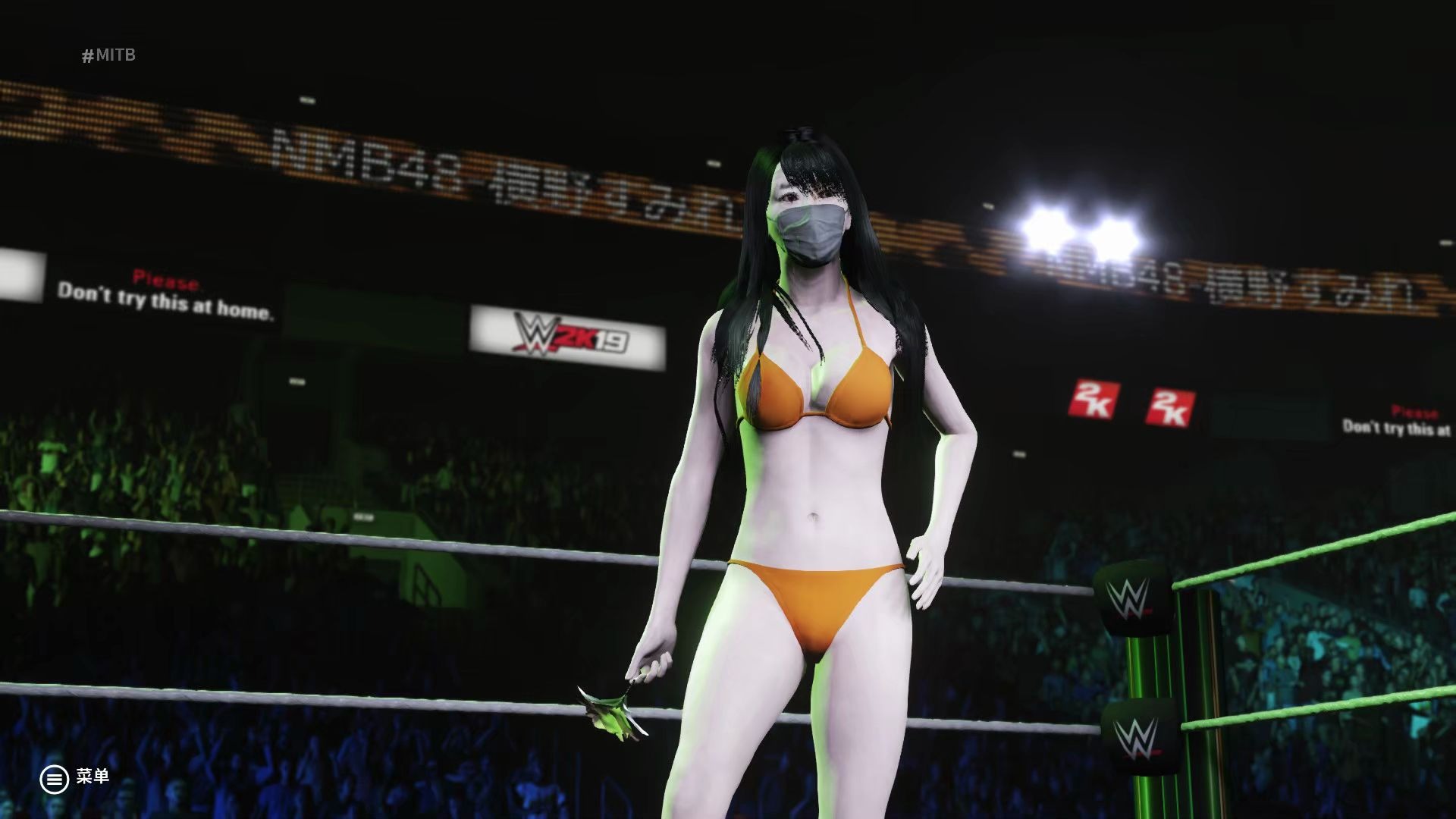 [图]【WWE 2K19】 村瀬紗英 VS 横野すみれ 【极限法则三局两胜】