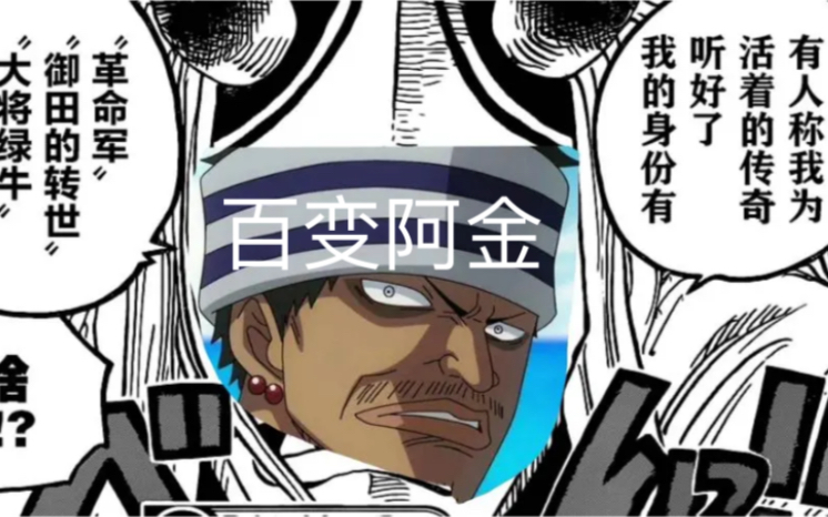 【海贼王人物录】百变阿金_哔哩哔哩_bilibili