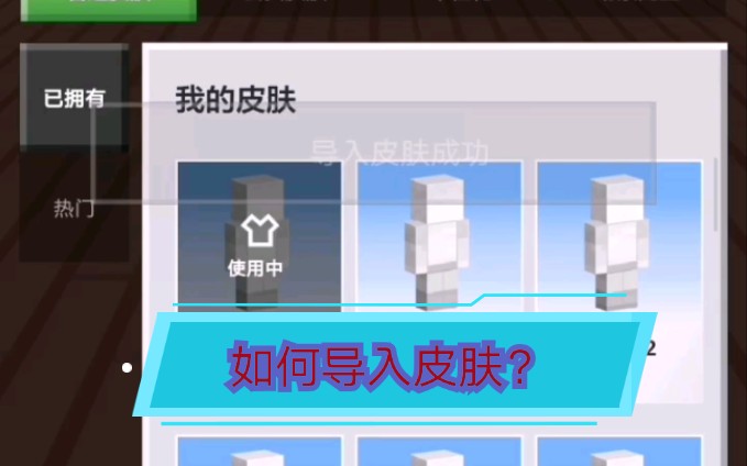 怎样在中国版mc导入皮肤?哔哩哔哩bilibili