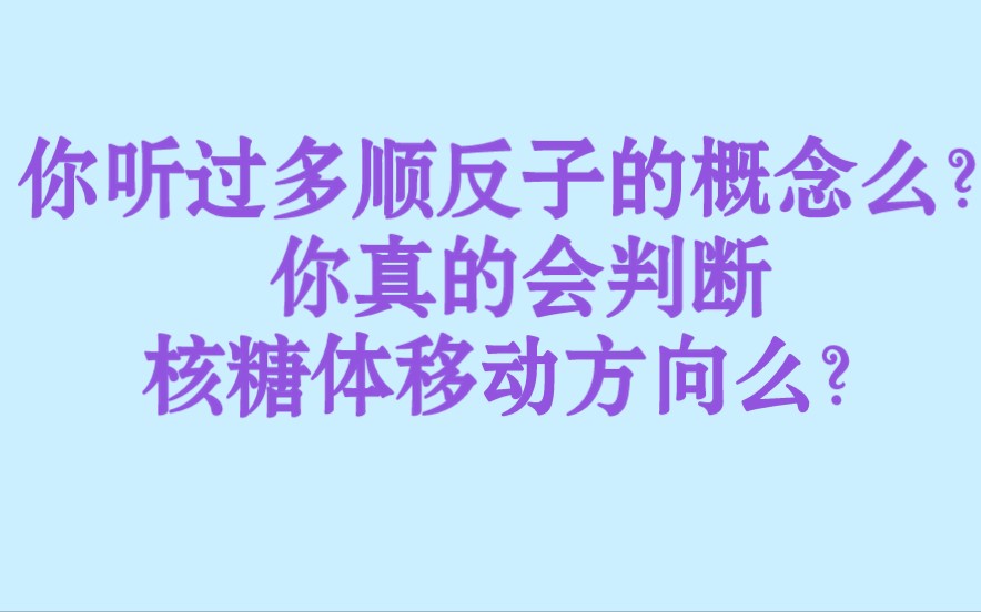 多顺反子!高中生物—分子遗传学转录翻译过程中,核糖体移动方向判断进阶!哔哩哔哩bilibili