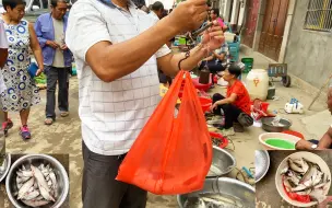 下载视频: 乡村早晨集市野生河鱼真实惠，小伙赶集花几十块钱淘一大桶杂鱼，瞧瞧