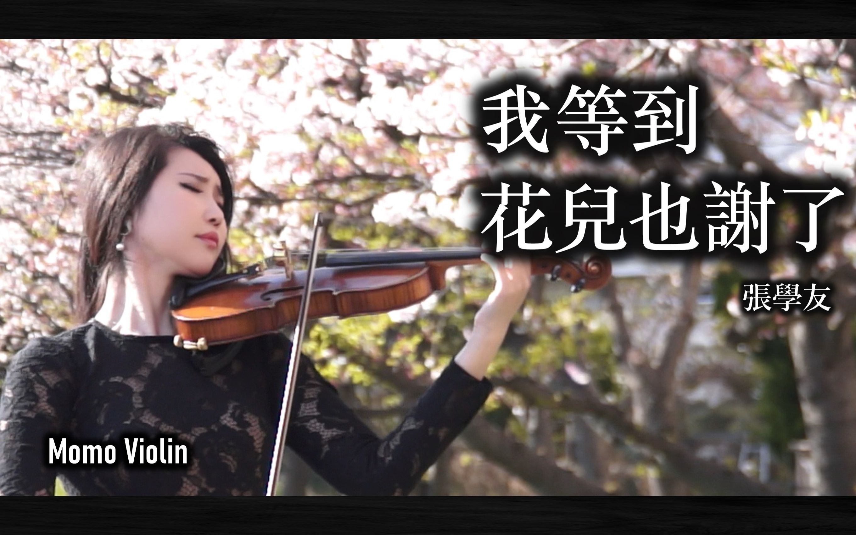 [图]【小提琴】我等得花儿也谢了 - 张学友 violin cover by momo