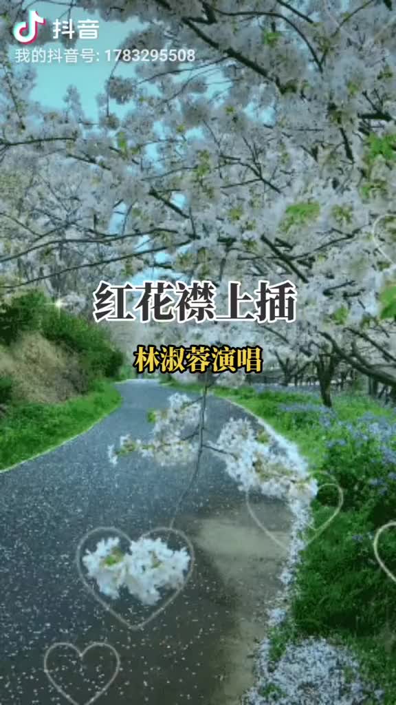 [图]赏花听歌音乐花香醉在我心间希望我的作品给您带来最美的回忆与快