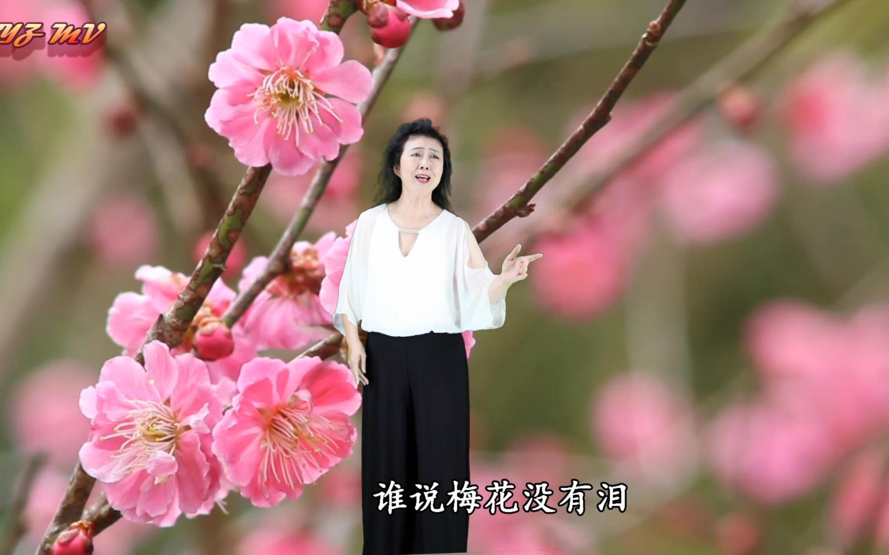 《梅花泪》 刘牧