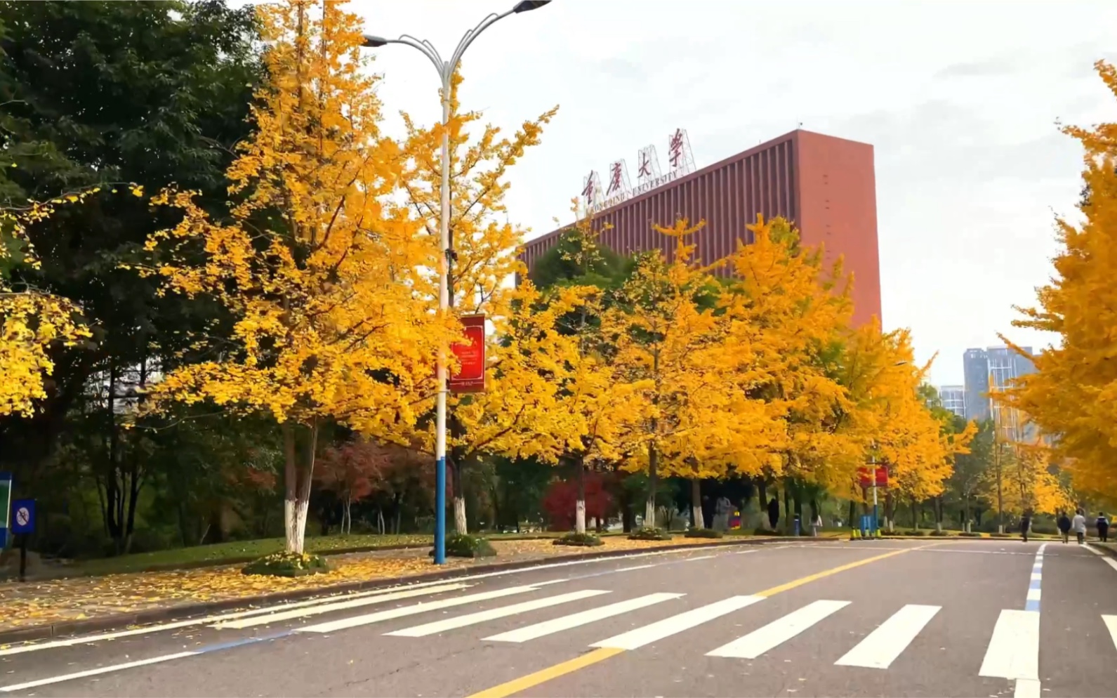 重庆大学烟台校区图片