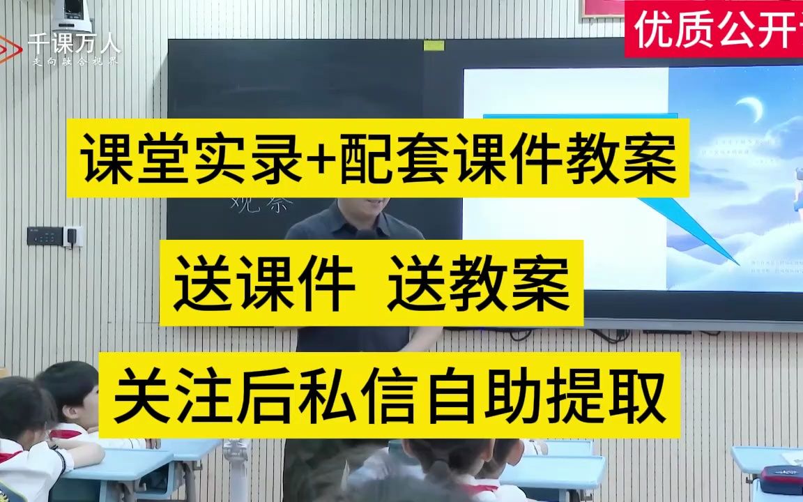 搭船的鳥-公開課優質課 新課標教學實錄 小學語文三上比賽課(含教案