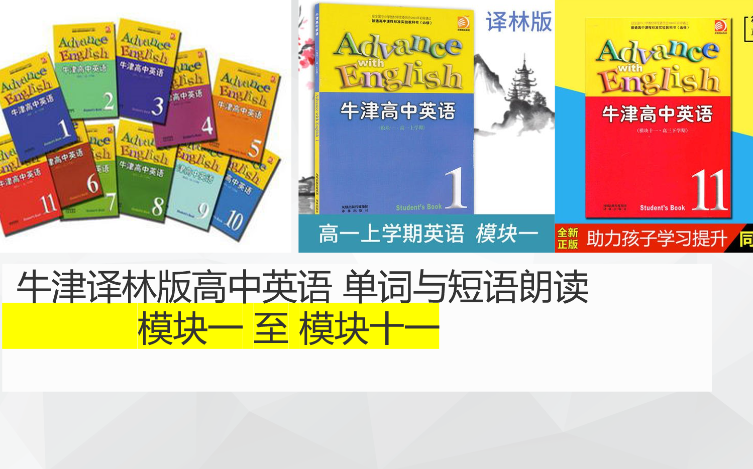 牛津版高中英语 模块一 模块二 模块三 模块四 模块五 模块六 模块七 模块八 模块九 模块十 模块十一 单词朗读哔哩哔哩bilibili