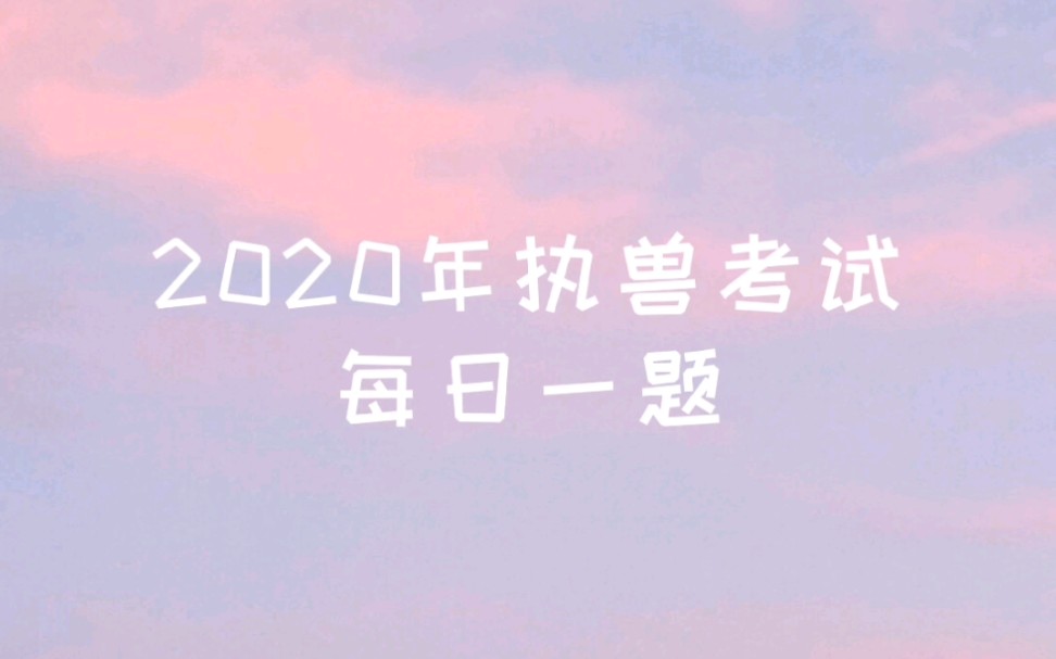 【执业兽医资格证】距2020年执兽考试还有55天哔哩哔哩bilibili