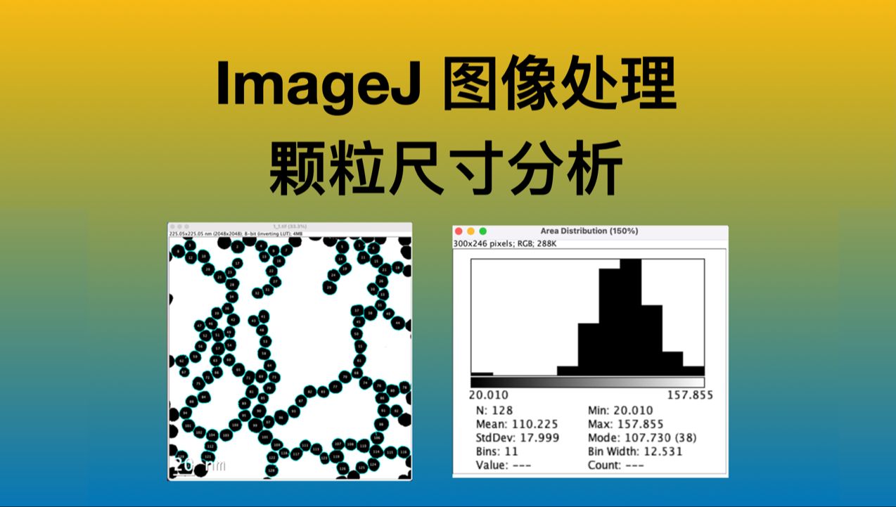 『零基础』ImageJ图像处理教程  粒径分布 (size distribution)哔哩哔哩bilibili