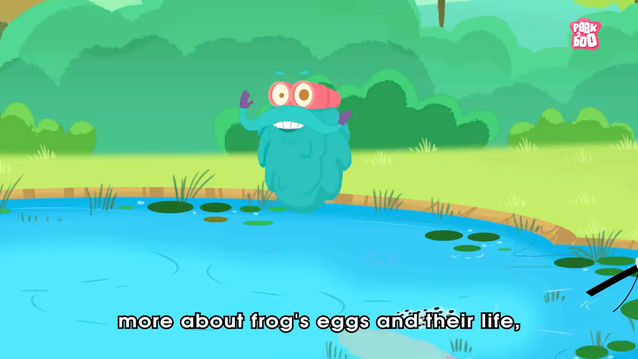 搬运生物科普英语动画 青蛙