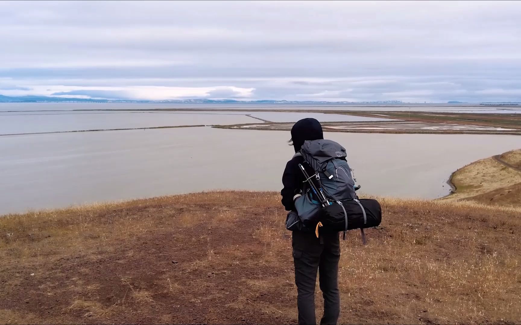 [图]加州徒步|Coyote Hills Regional Park(小狼公园)|盐田、沼泽、环瞰湾区