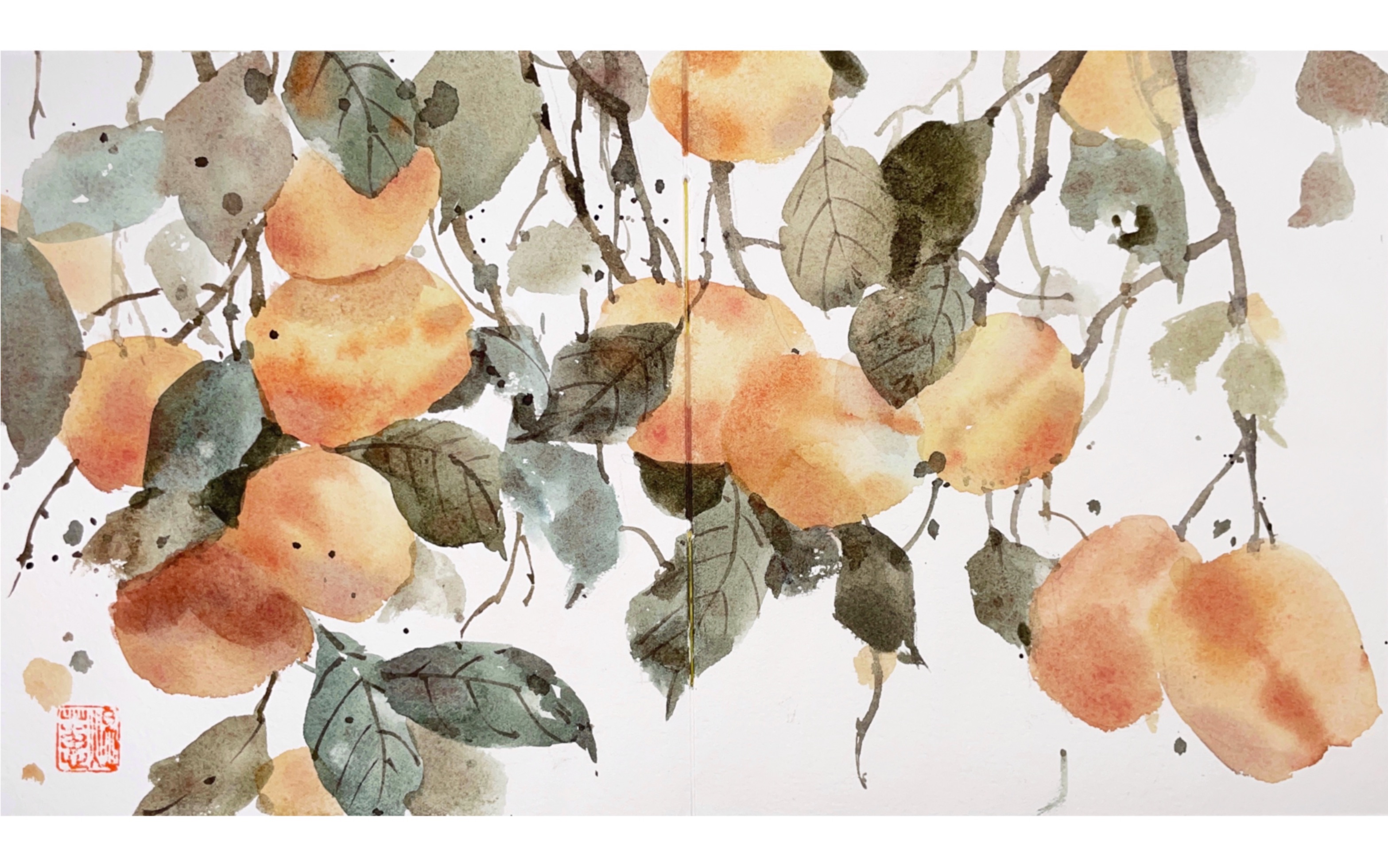 【水彩教程】柿子树