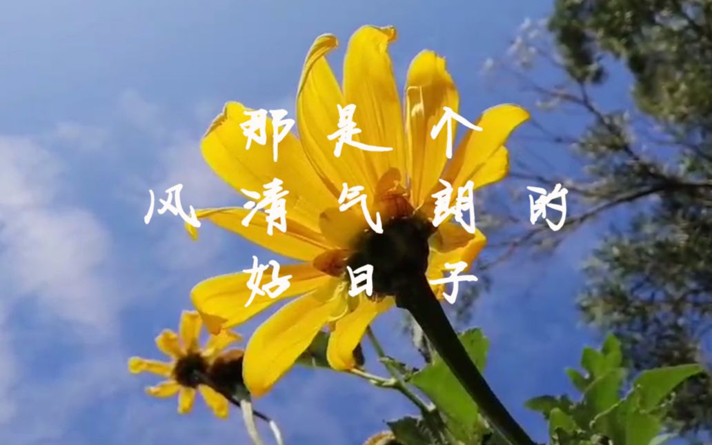 那是个风清气朗的好日子