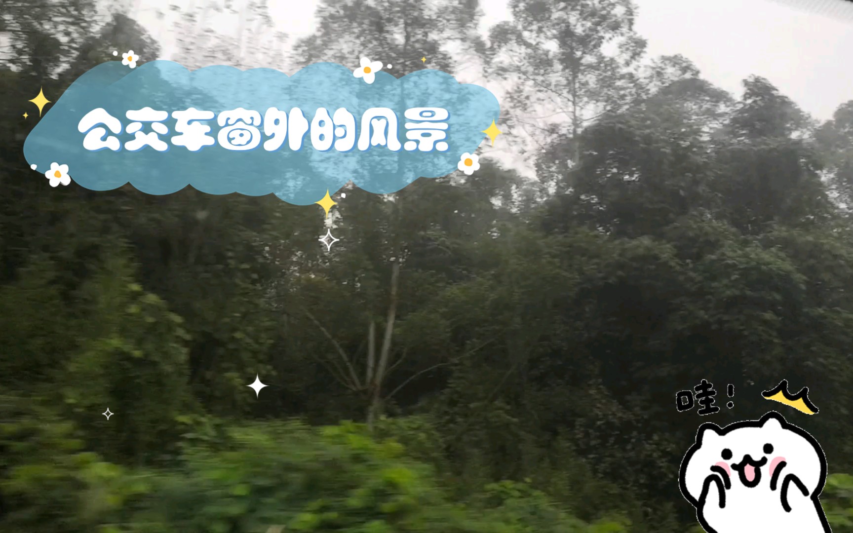 公交车窗外的风景哔哩哔哩bilibili