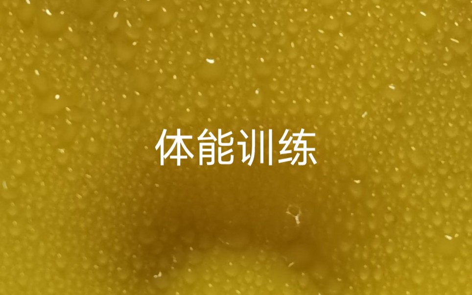 舞蹈体能训练/自用哔哩哔哩bilibili