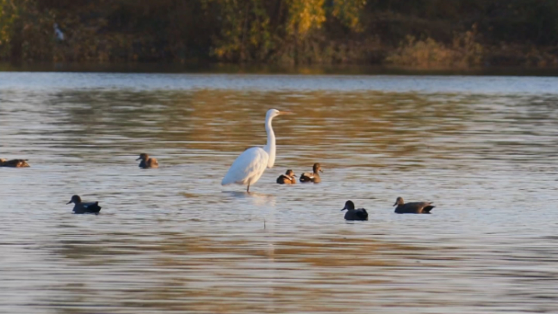 【旅行记录】冬日暖阳