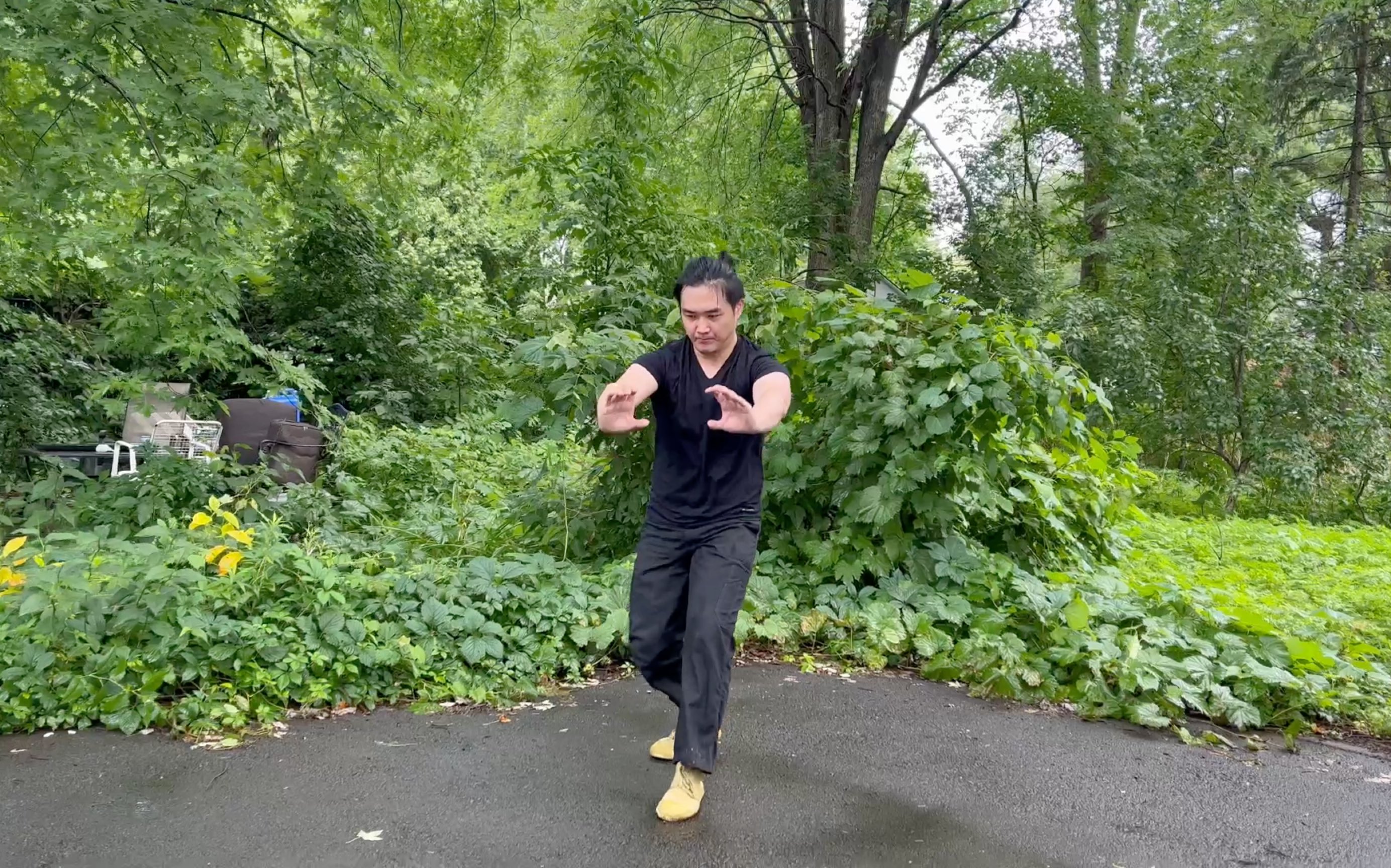 河北形意拳 十二形之虎形