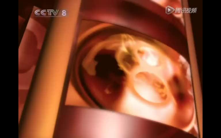 [图]【童年回忆】CCTV8的老版呼号(2004~2009年)(60FPS)