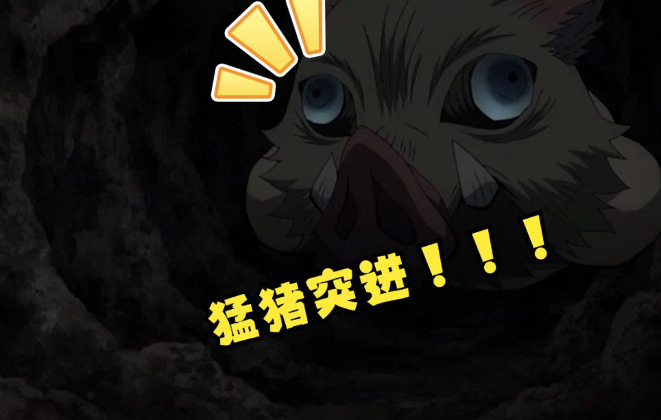 猛猪突进!_哔哩哔哩_bilibili