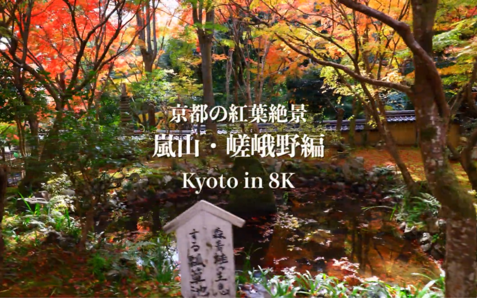 【京都8K】岚山必看的7处红叶景观哔哩哔哩bilibili