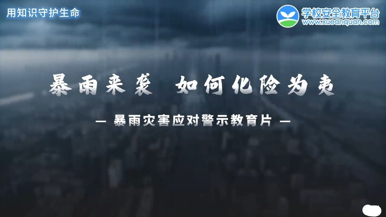 暴雨灾害应对警示教育片