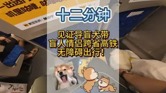 Download Video: 看不见的路，也能走得很温暖！12分钟，见证导盲犬带盲人情侣跨省高铁无障碍出行！