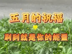 Download Video: 【星星点灯】五月的祝福：在混沌中直击长空，在迷雾中找到方向，你终将得偿所愿～