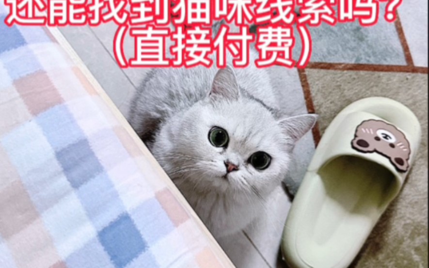 ##找猫方法##柯南寻猫寻狗专业寻宠物团队# #广东寻猫##广东找猫团队##阳江寻猫##全国性寻猫团队##猫咪受惊溜走# #如何快速找猫# #广东靠业找猫公司...