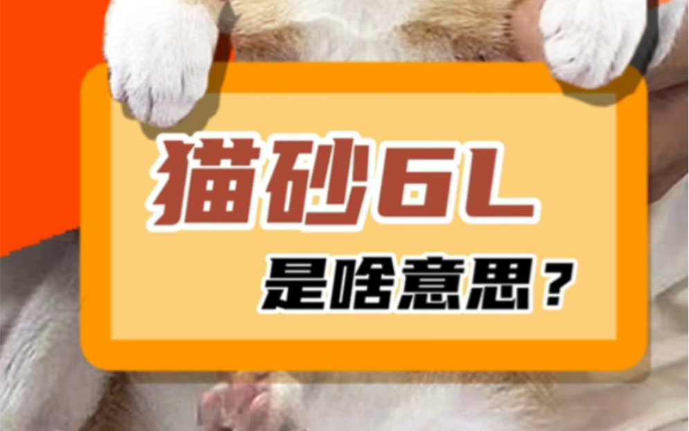 猫砂上的6L是啥意思哔哩哔哩bilibili