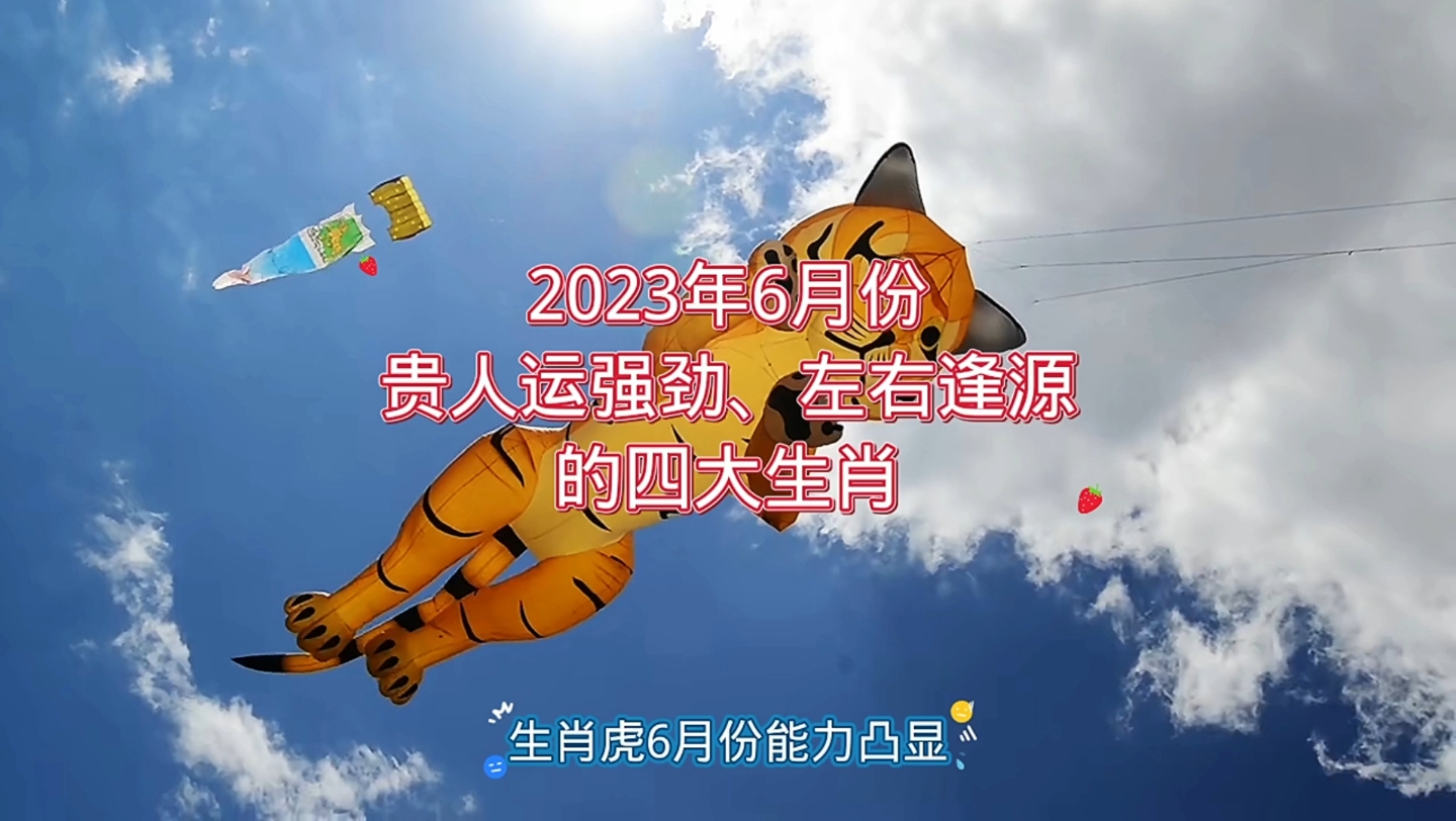 2023年6月份贵人运强劲、左右逢源的四大生肖哔哩哔哩bilibili