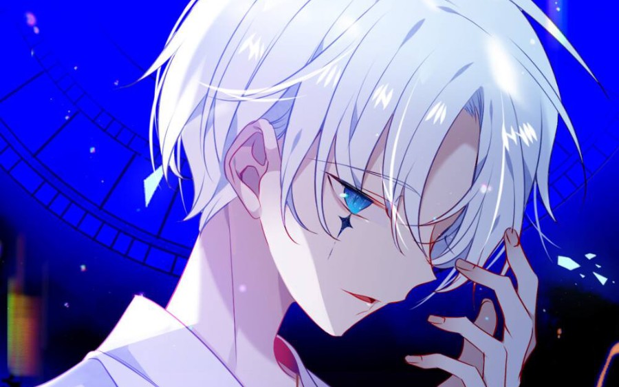 终是白虎动了情,终是凤希转了世,终是朱雀失了忆,终是黄龙落了泪