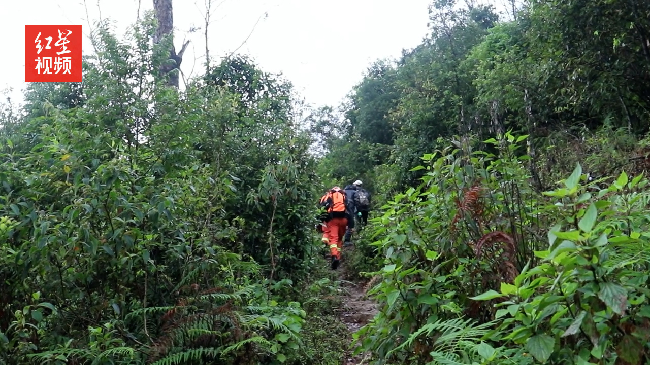 网传云南4名失联地质调查人员已找到 镇沅县官方:消息有误哔哩哔哩bilibili