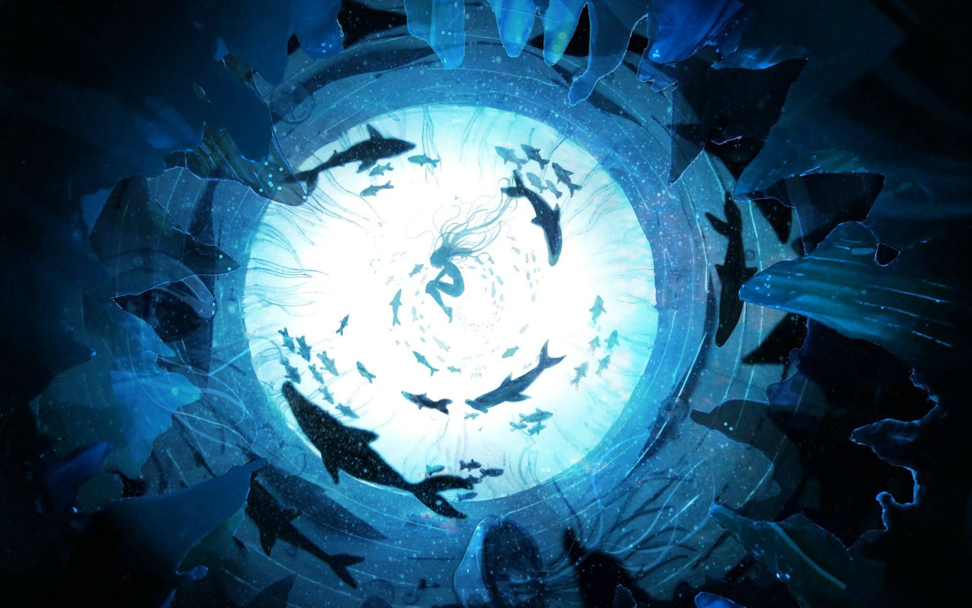 叶清域极乐净土