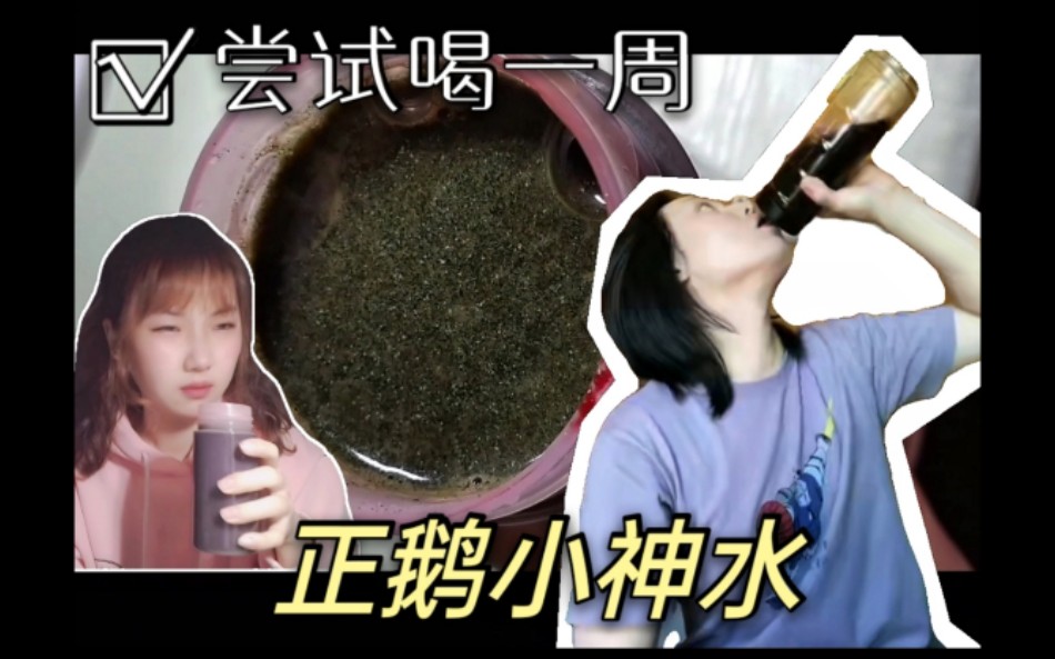 【尹正小神水】一周试喝正鹅同款小神水