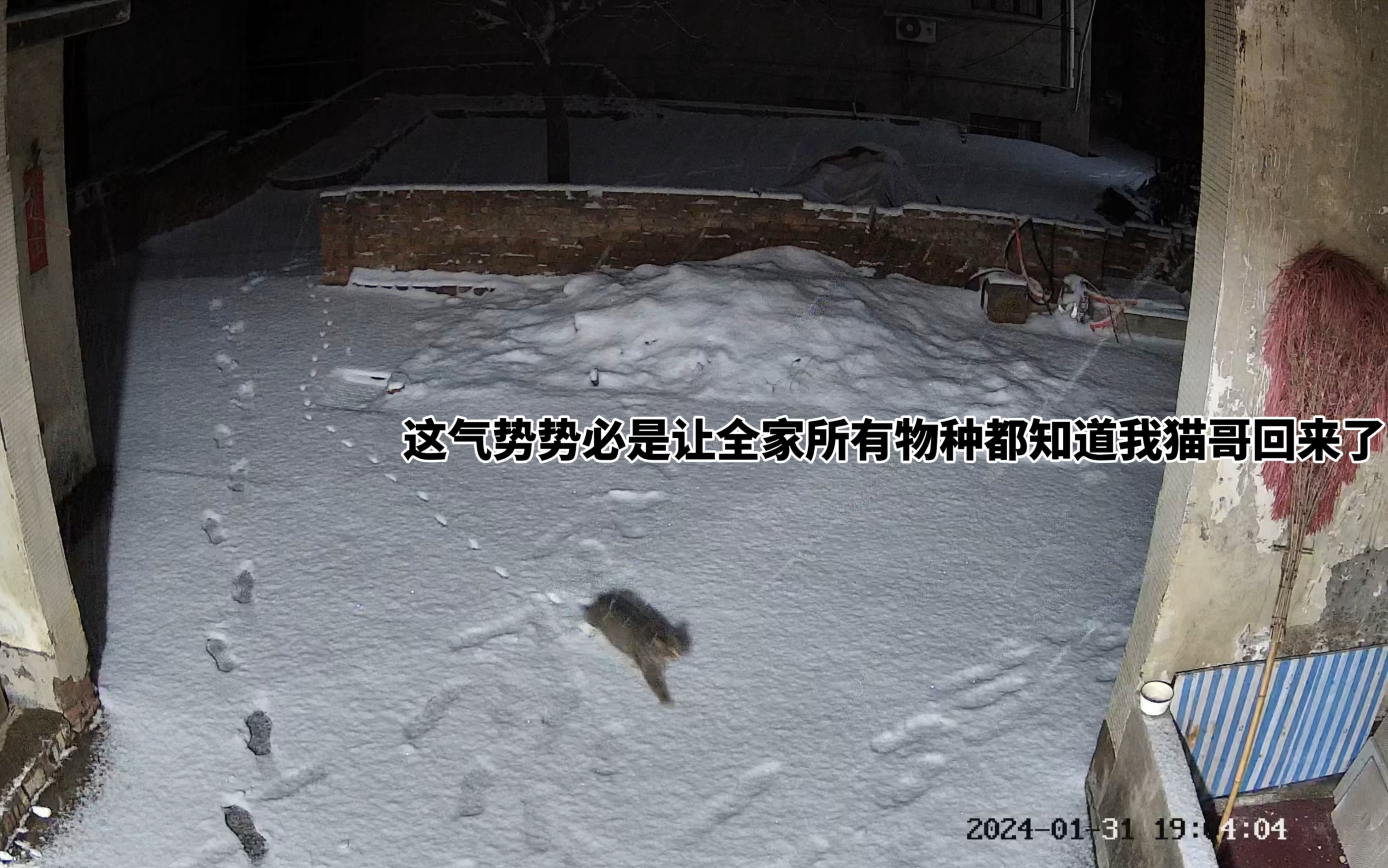 讲究 雪天路滑知道打喇叭回家哔哩哔哩bilibili