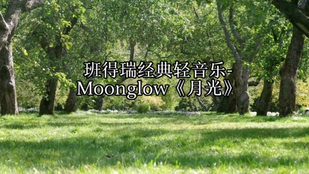 班得瑞经典轻音乐Moonglow《月光》哔哩哔哩bilibili