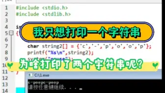 C语言我只想打印一个字符串，为啥打印了两个字符串呢？