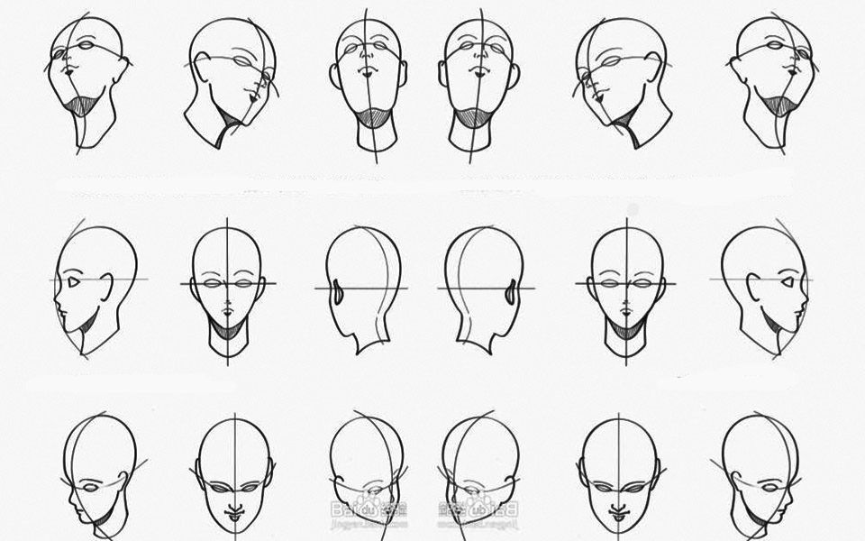 [图]不会画动漫人物头部？一招鲜吃遍天，一招教会你所有角度头部画法，零基础都能学会【漫画头部教学】