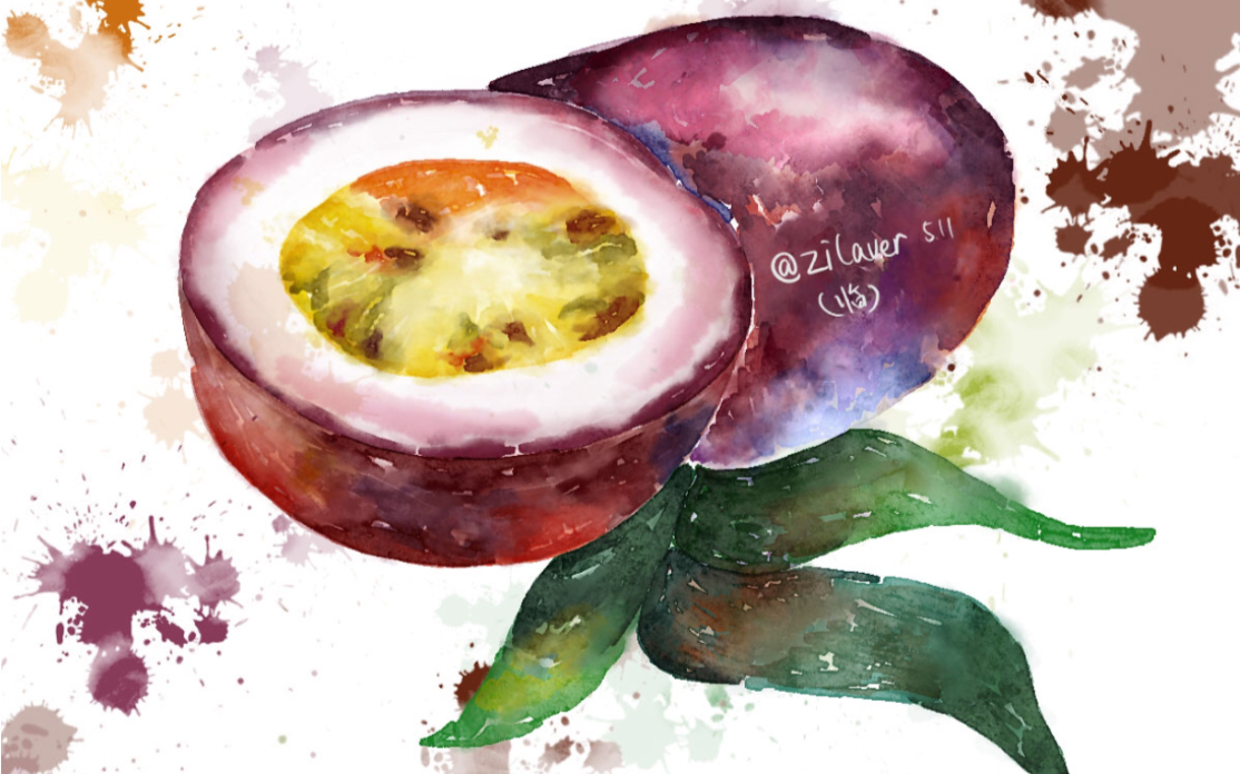【板绘】procreate画水彩效果水果系列之百香果