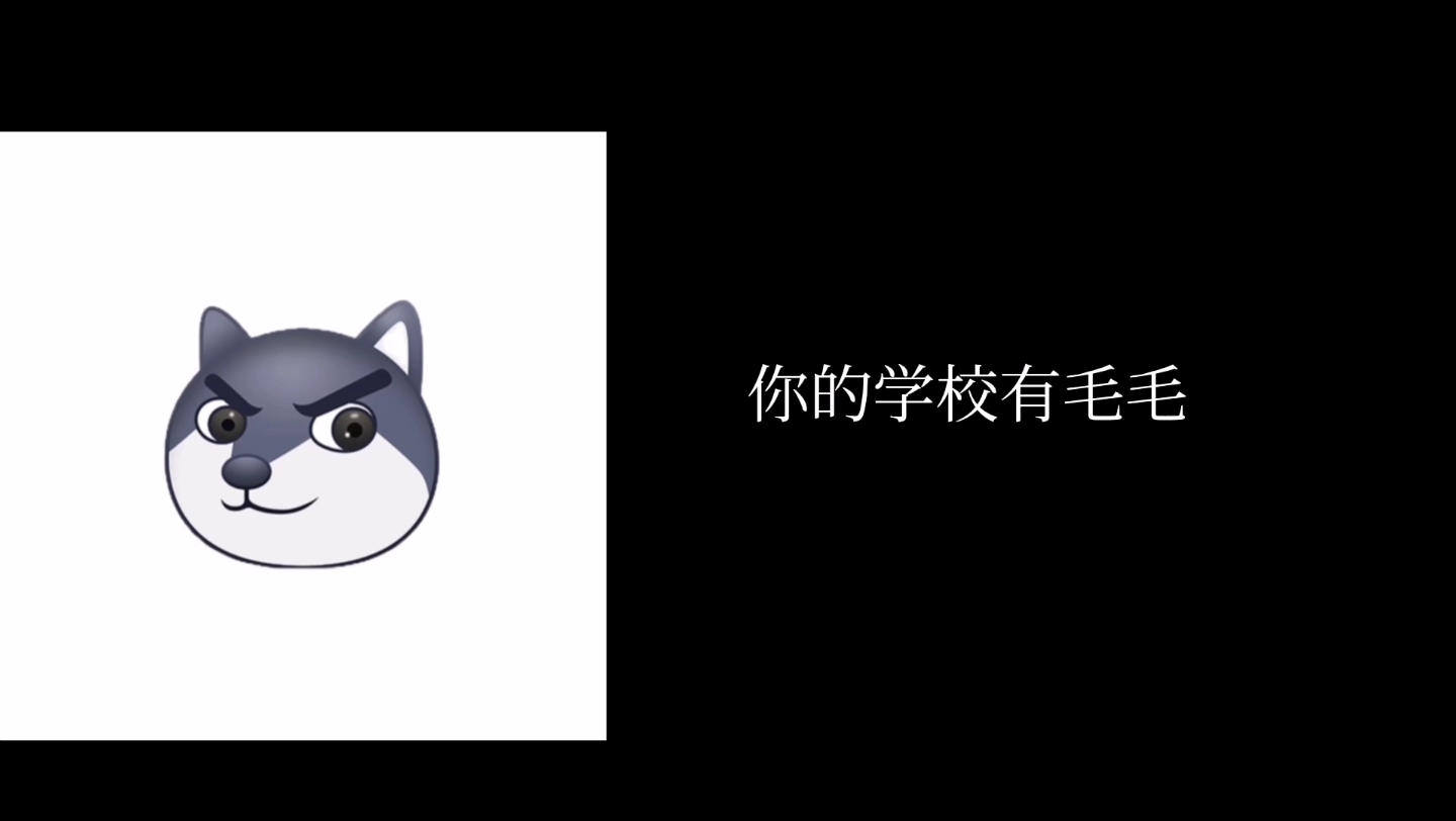 超能狗头(毛毛版)哔哩哔哩bilibili