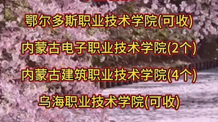 单招名额:鄂尔多斯职业技术学院(可收)内蒙古电子(二个)内蒙古建筑(4个)乌海职业(可收)哔哩哔哩bilibili