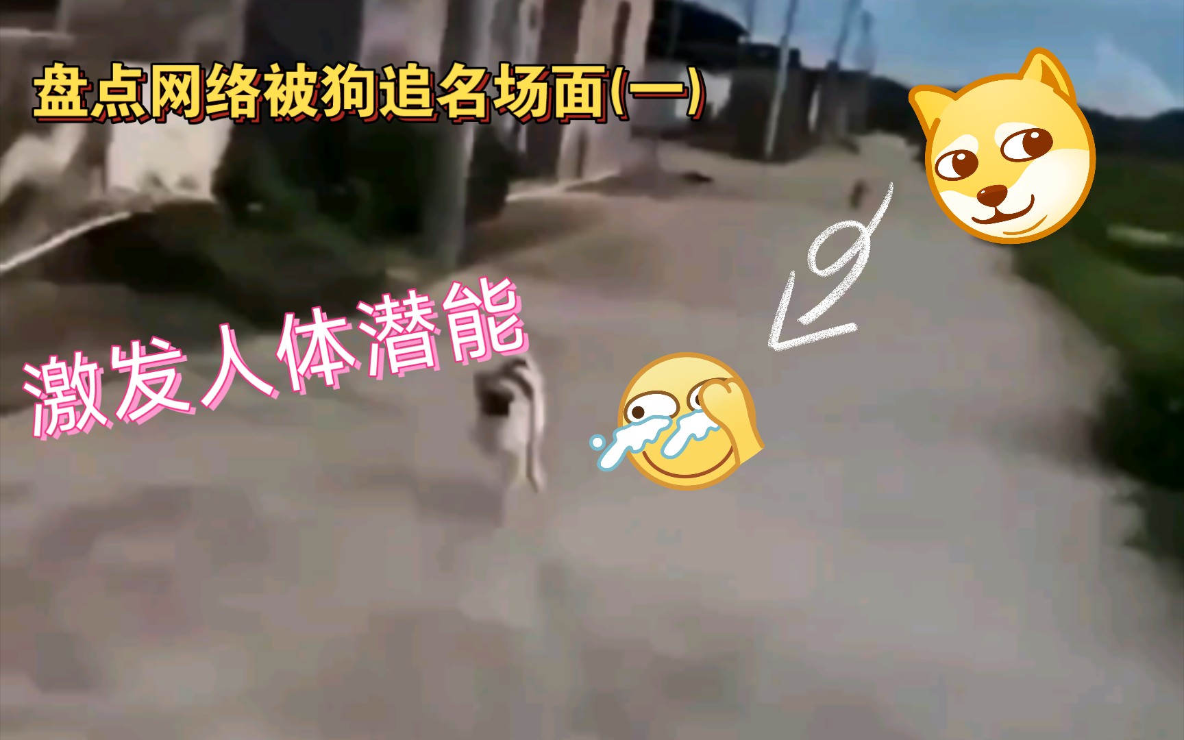 网络素材被狗追系列(一)哔哩哔哩bilibili