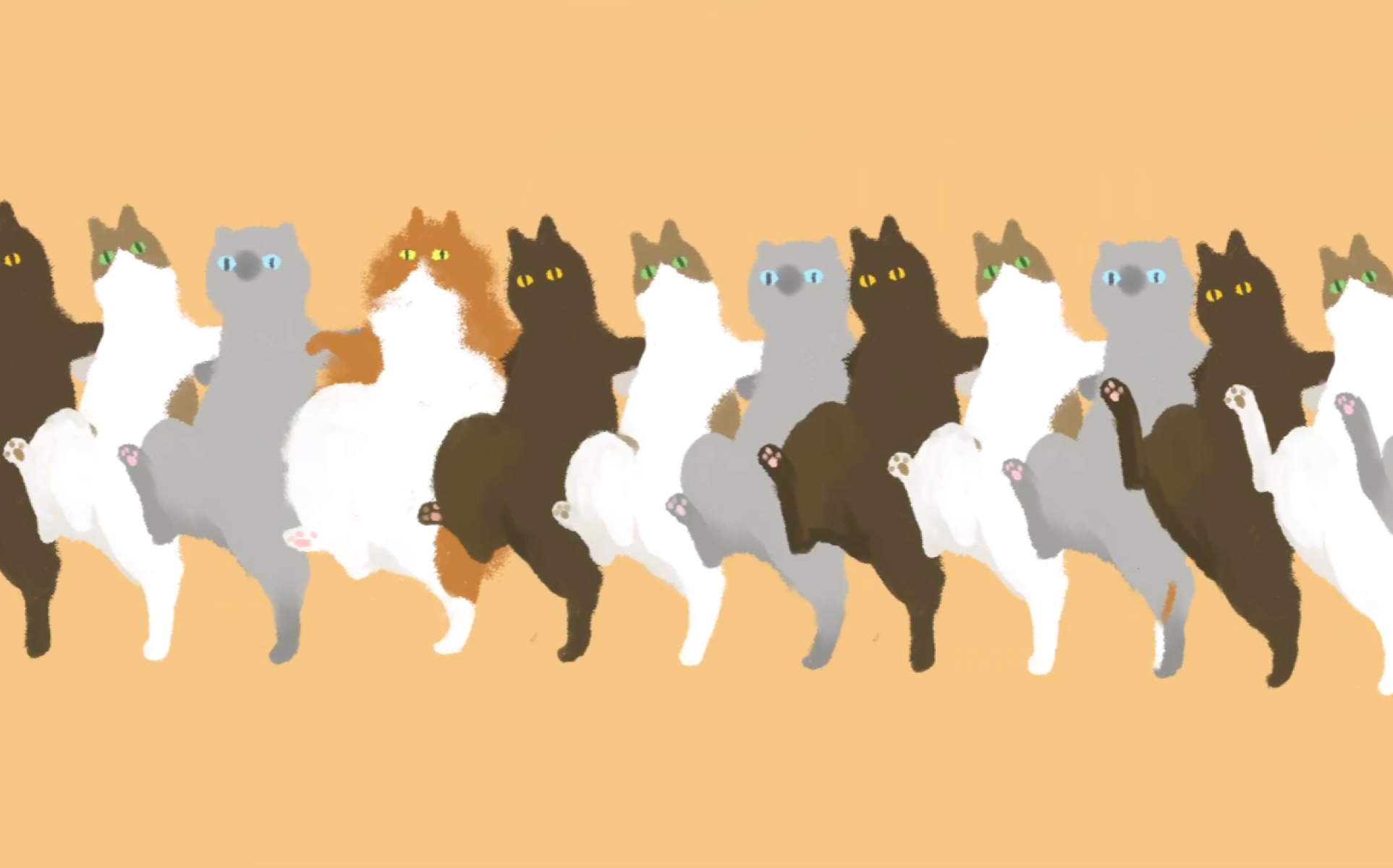 【個人原创短片动画】課題—「cat] 鬼畜猫咪似水又贱又萌_哔哩哔哩_bilibili