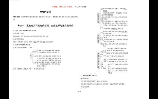 [图]生物的进化重难点