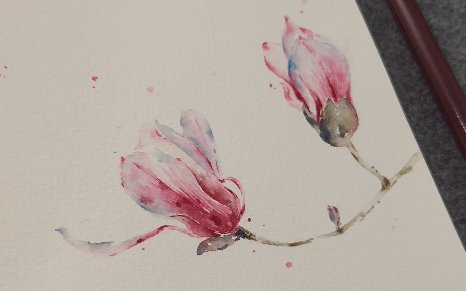 【安浅】古风水彩花卉玉兰花过程