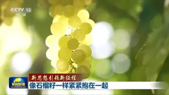 【新思想引领新征程】像石榴籽一样紧紧抱在一起